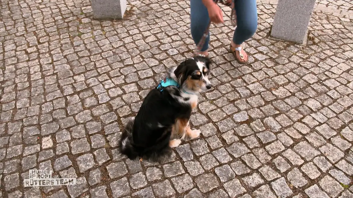Furcht vor Kindern Kein Kinderfreund