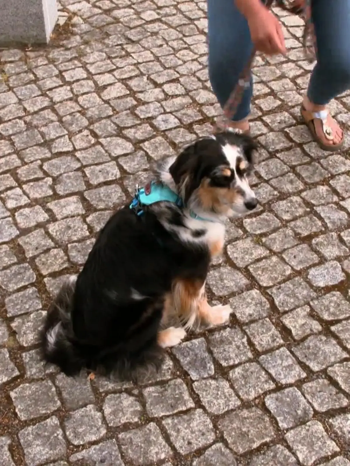 Bild zu: "Furcht vor Kindern"