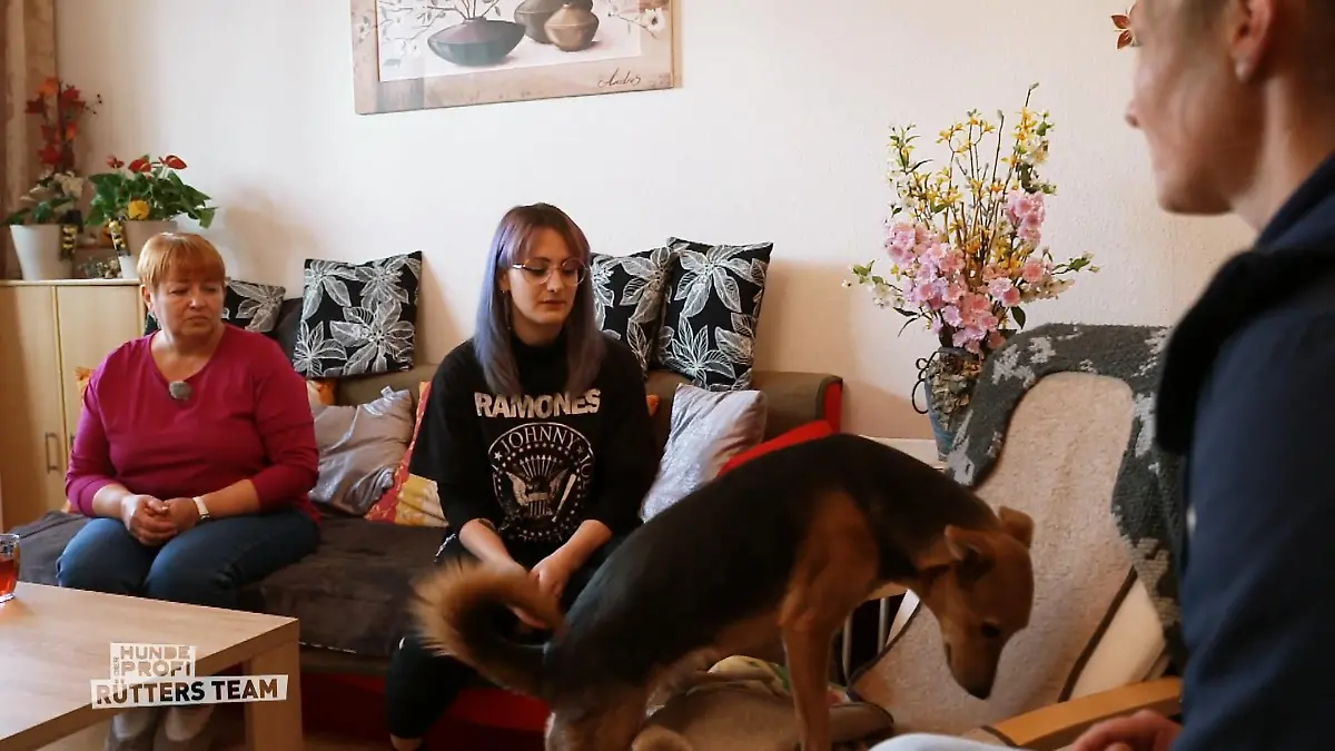 Caramel hat die Kontrolle Stresssituation für Caramel