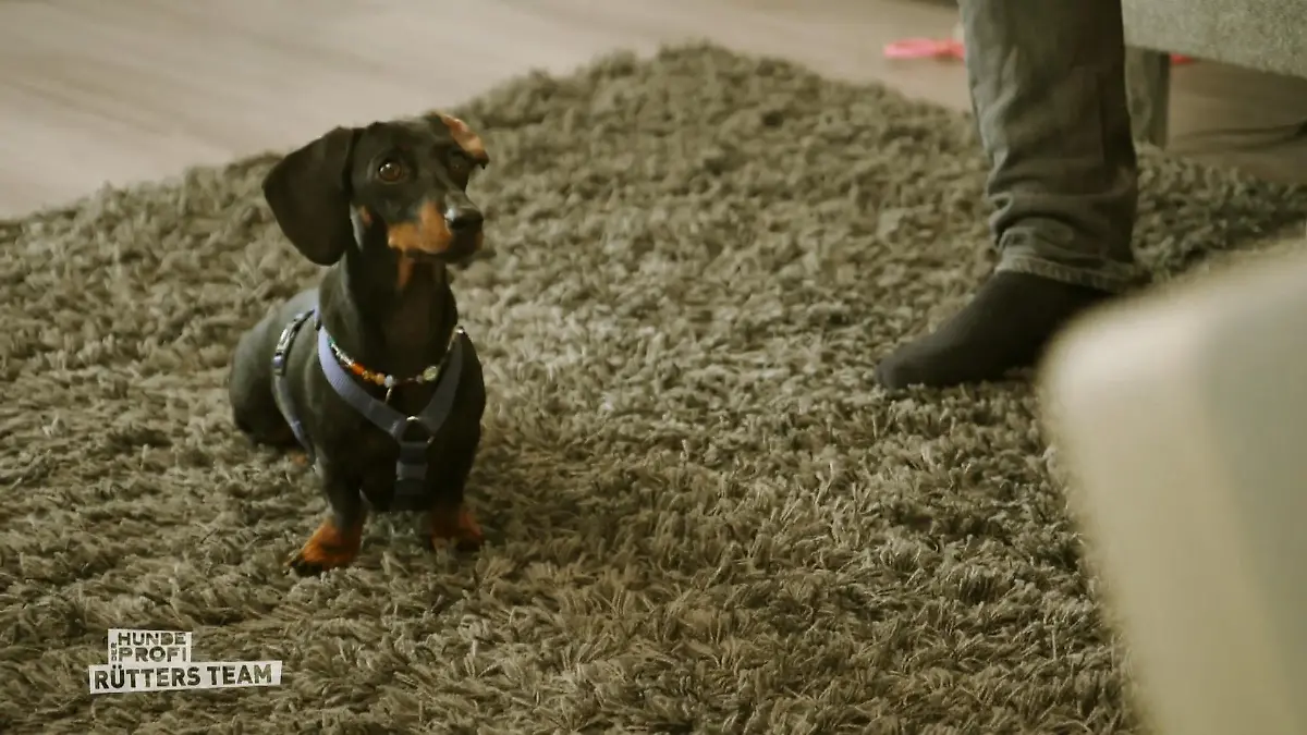 Dieses Training macht Fini Spaß Läuft gut