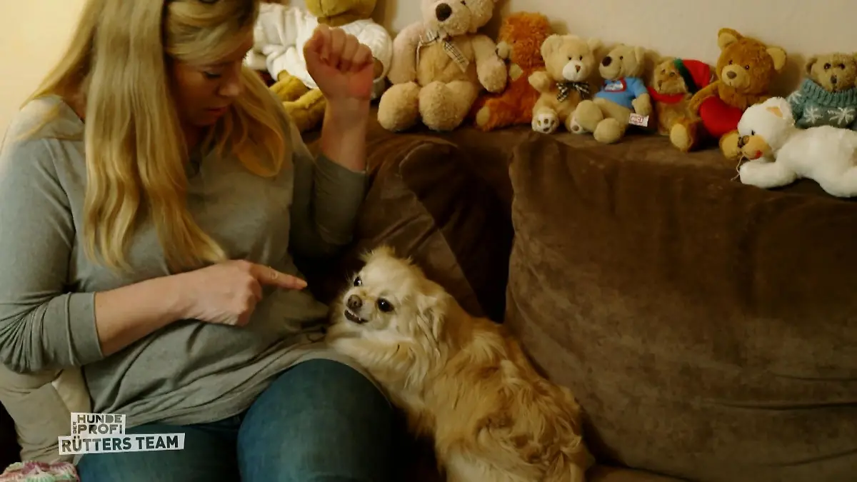 Süß und lieb? Fehlanzeige! Kleiner Tyrann