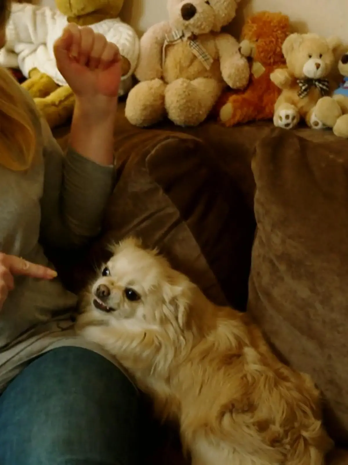 Bild zu: "Süß und lieb? Fehlanzeige!"