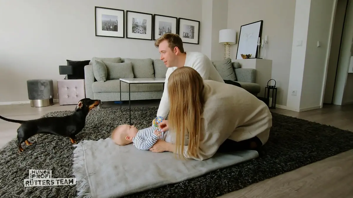 Fini ist eifersüchtig auf das Baby Nicht mehr allein