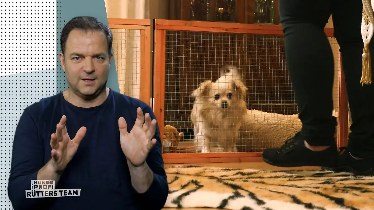 Chiko bekommt einen Laufstall Konflikt-Entschärfung