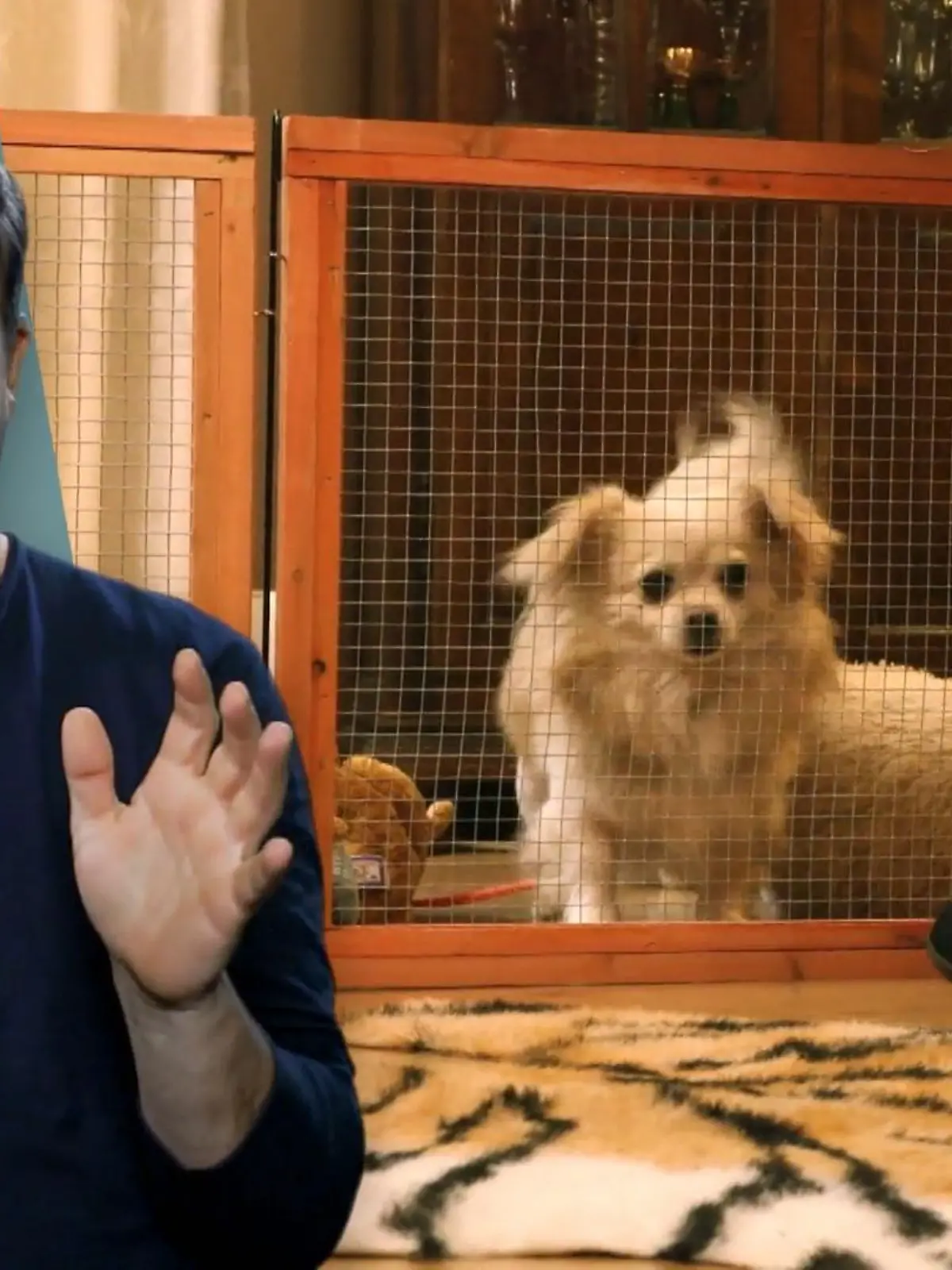 Bild zu: "Chiko bekommt einen Laufstall"