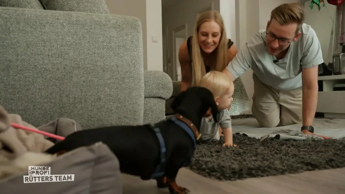 Kommt Fini mit dem zweiten Platz klar? Der Härtetest