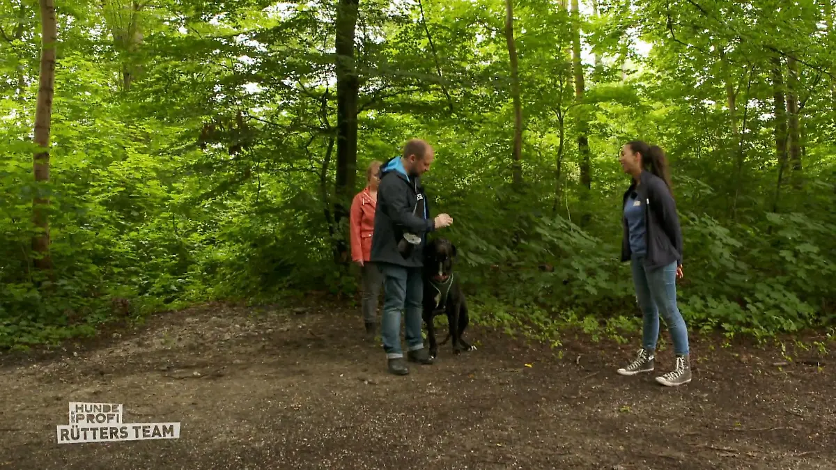 Kann Audrey den anderen Hunden die kalte Schulter zeigen? Test in fremder Umgebung