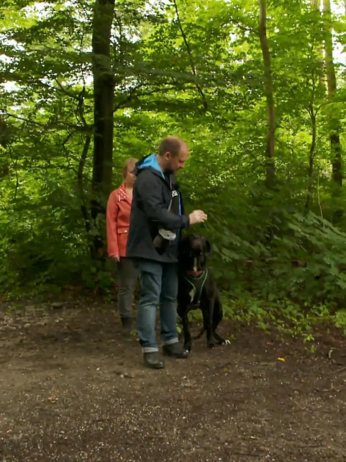 Bild zu: "Kann Audrey den anderen Hunden die kalte Schulter zeigen?"