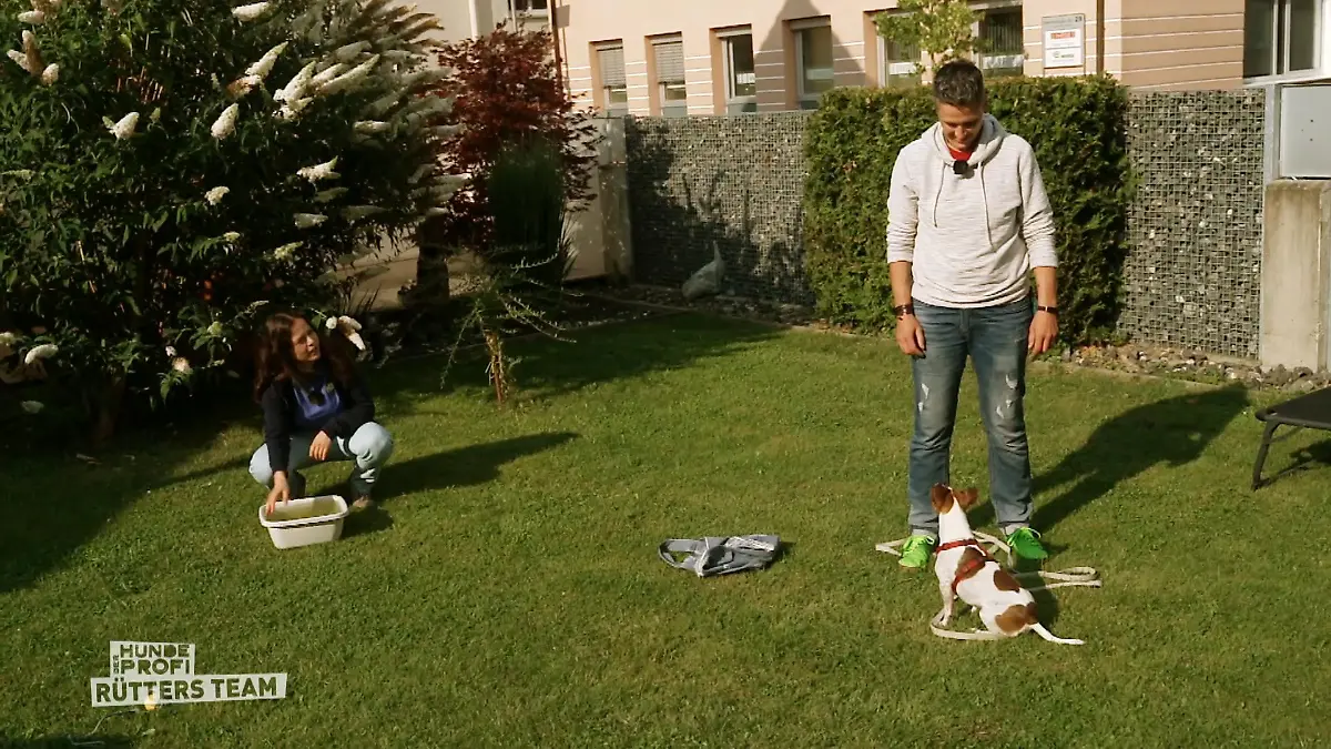 Hat Robbie das Wasser hinter sich gelassen? Wasserprobe für Robbie