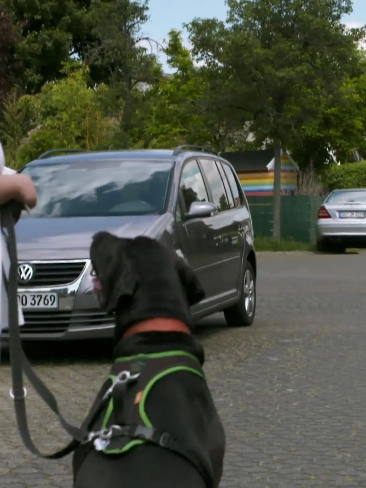 Bild zu: "Hat Audrey ihre Aggressionen im Griff?"