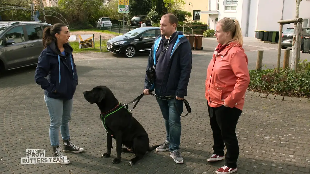 Praxistest für Audrey Wie Kommandosicher ist sie?