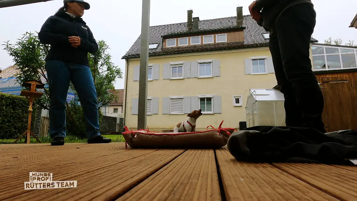 Robbie hat nie gelernt zu entspannen Das Gedultstraining beginnt!