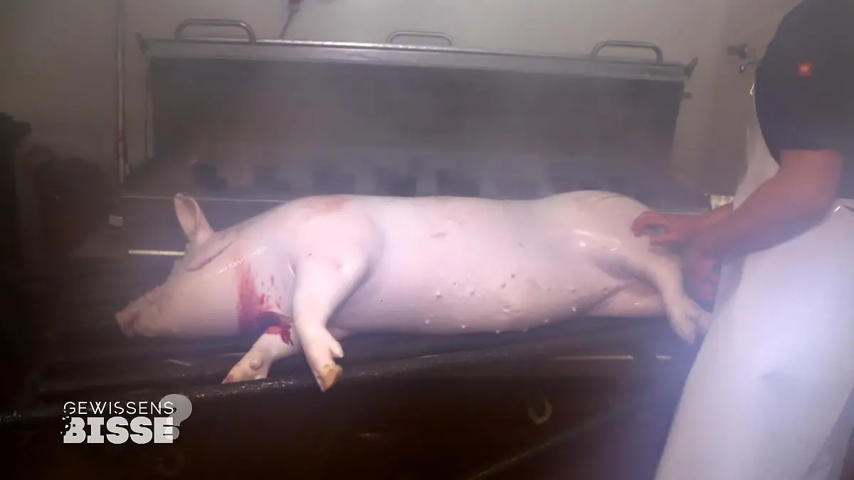 So sieht es im Schlachthaus aus dem Hardestel -Test für Dana & Dennis