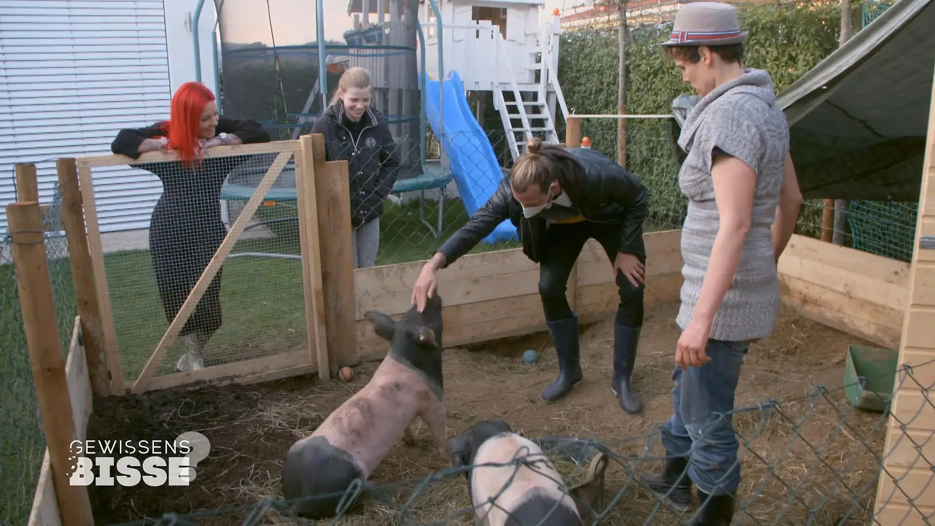 Wie intelligent sind Schweine eigentlich? Eine Trainerin zu Besuch