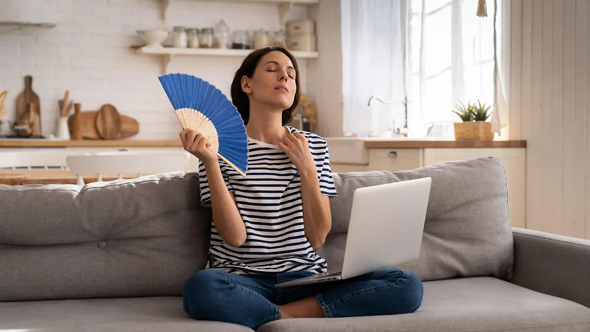 Tired millennial woman suffers from stuffiness and an inoperative air conditioner, waving blue fan sitting on couch at home working on laptop computer. Overheating high temperature, hot summer weather