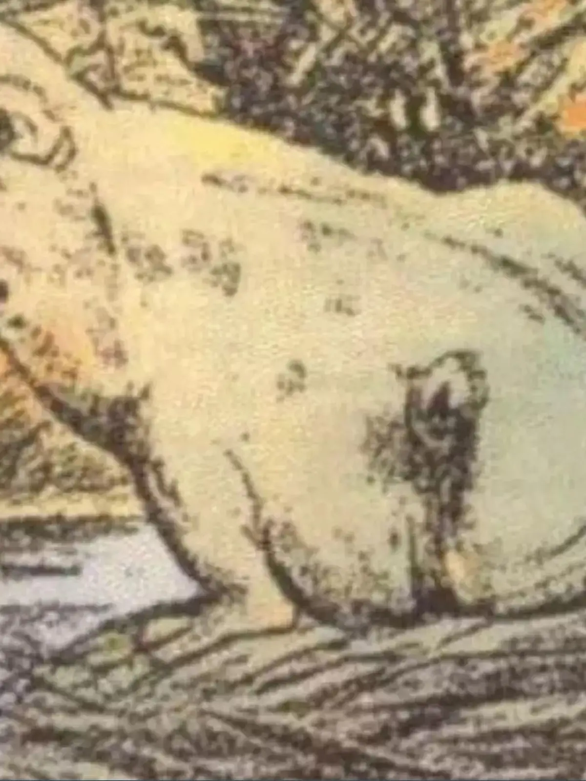 Optische Illusion: Frosch sitzt im Schilf