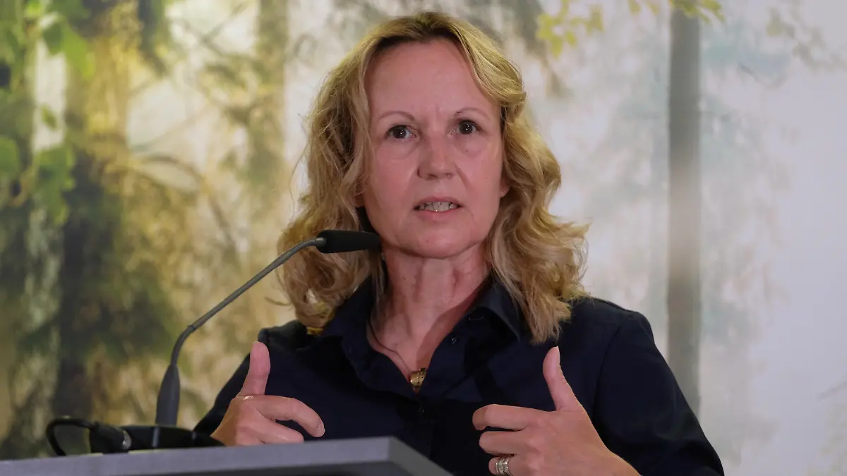 09.07.2022, Sachsen-Anhalt, Halle: Steffi Lemke (Grüne), Bundesumweltministerin, spricht beim Landesparteitag der Grünen Sachsen-Anhalt. Unter dem Motto ·Mit Sicherheit: Sachsen-Anhalt· wollen die Parteimitglieder über die Sicherheitslage und über die Versorgungssicherheit im Bundesland diskutieren. Foto: Sebastian Willnow/dpa +++ dpa-Bildfunk +++