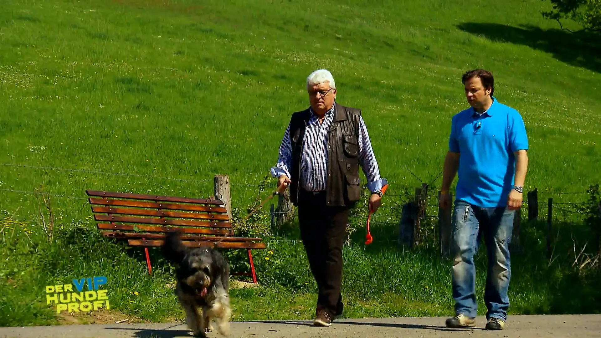 Laika muss gebremst werden Zu viel Power