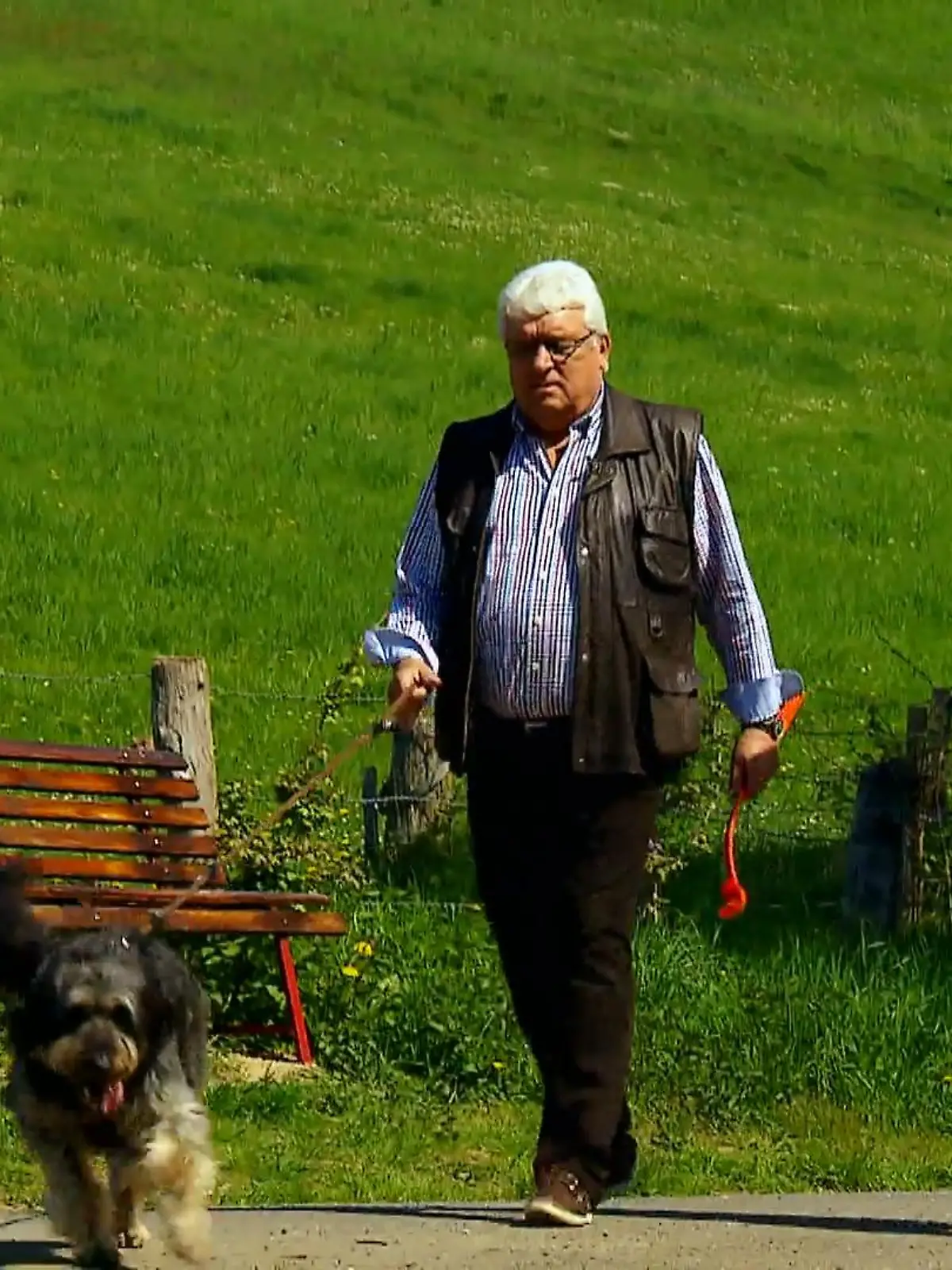 Bild zu: "Laika muss gebremst werden"