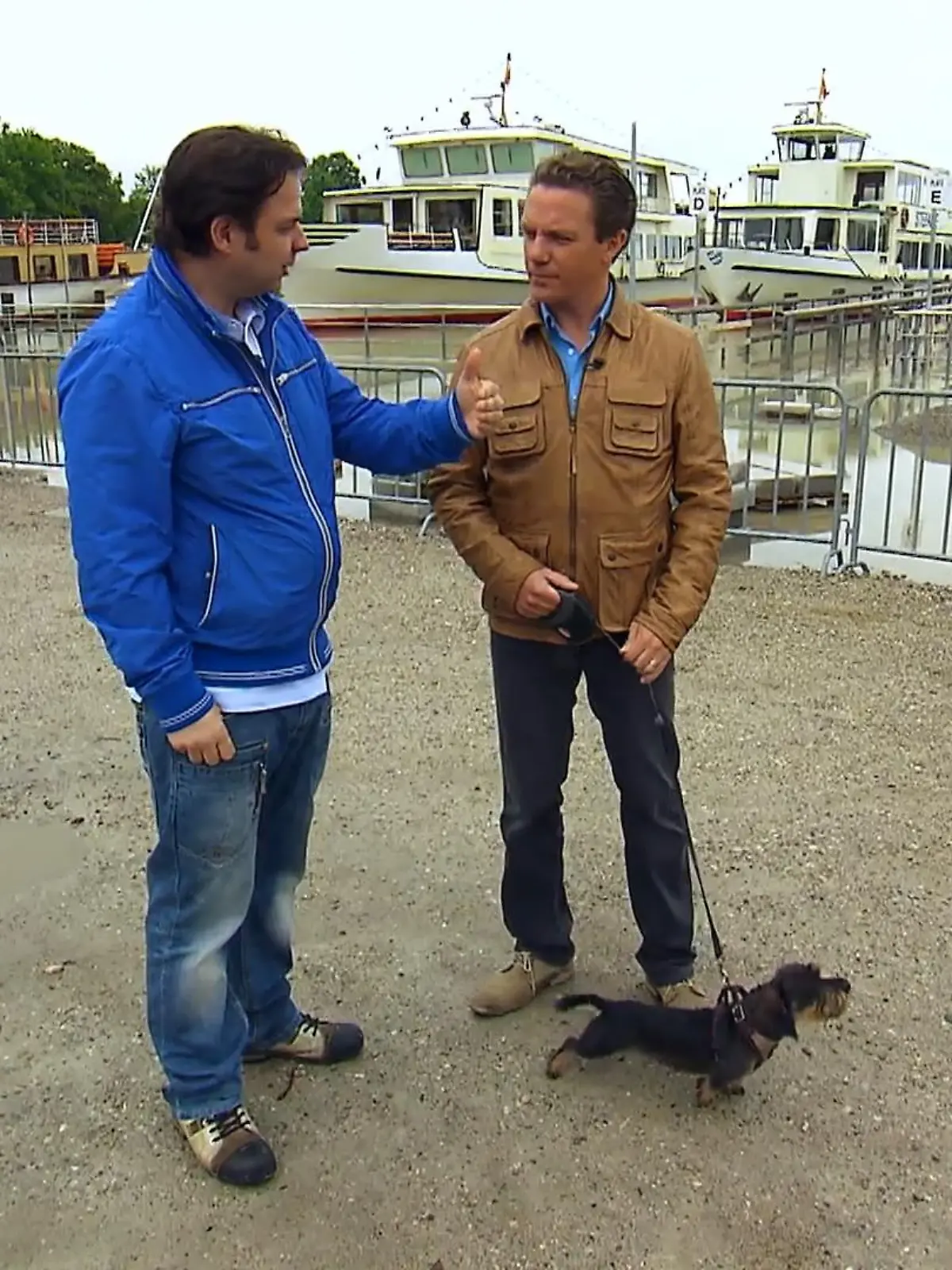 Bild zu: "Stefan Mross' Hund Zenzi bellt andere Hunde an"