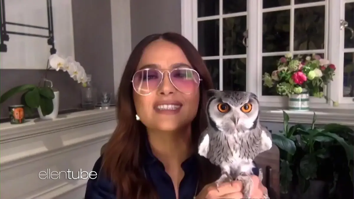 Die ungewöhnlichen Haustiere der Promis Salma Hayek & Co.