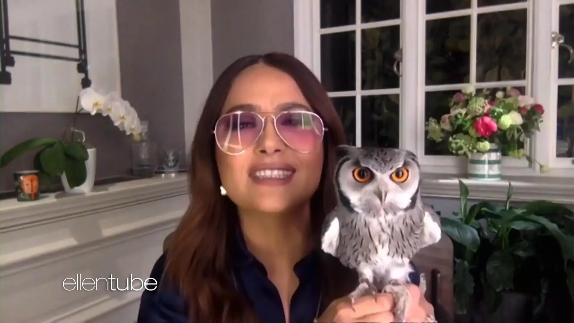 Die ungewöhnlichen Haustiere der Promis Salma Hayek & Co.