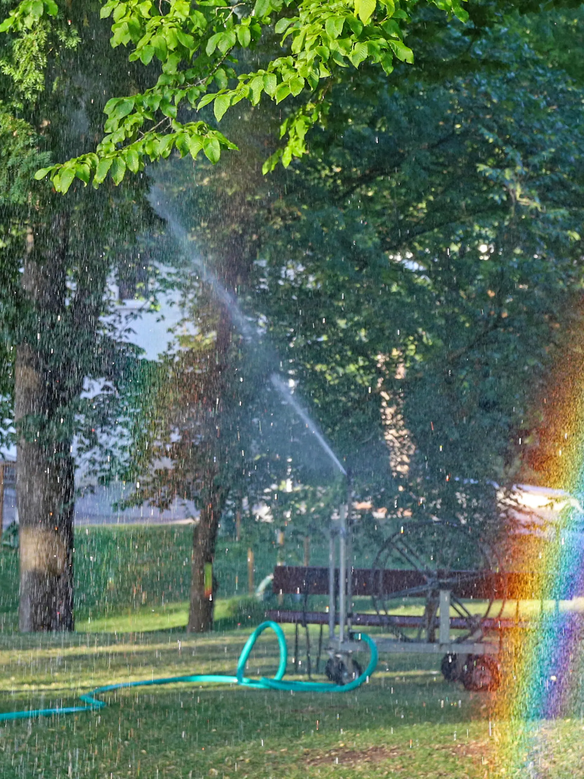  Traumhaftes Sommerwetter. Es wird ein heisser Tag im Siegerland. Wiesen und Baeume werden am fruehen Morgen im Schlosspark am Oberen Schloss bewaessert. Im Vordergrund ein Regenbogen. Sommer im Siegerland am 19.07.2022 in Siegen/Deutschland. *** Dreamlike summer weather It becomes a hot day in the Siegerland Meadows and trees are watered in the early morning in the castle park at the upper castle In the foreground a rainbow Summer in the Siegerland on 19 07 2022 in Siegen Germany