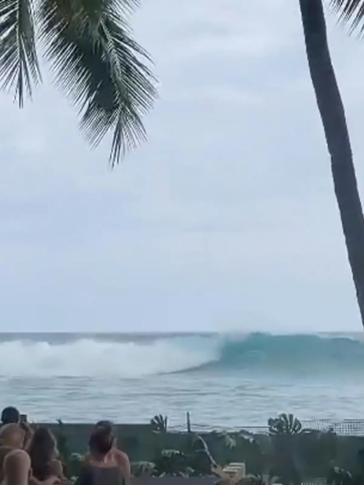 Sieht so nicht die absolute Traumhochzeit aus? Schöne Menschen, in der perfekten Location: direkt am Strand von Hawaii mit Blick auf Palmen, Sand und Meer. Aber dann kommt der ungeladene Gast! Wir zeigen den XXL-Crasher im Video.