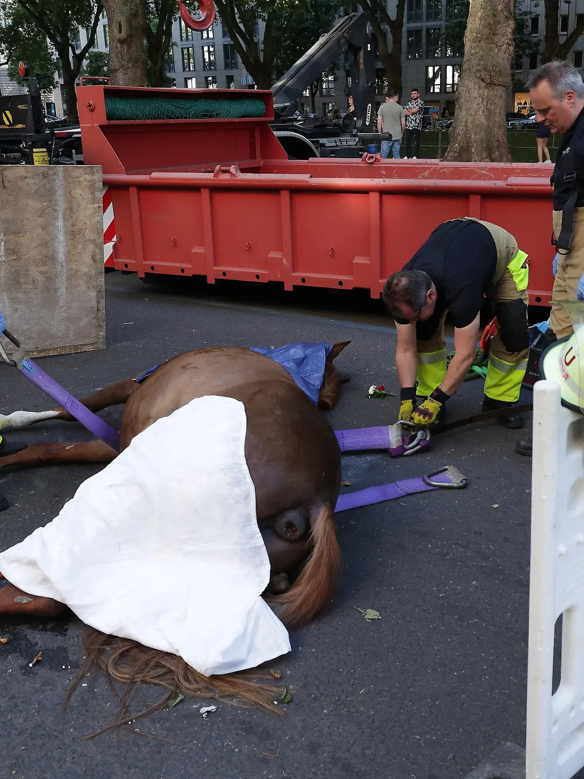 16.07.2022, Nordrhein-Westfalen, Düsseldorf: Feuerwehrmänner bereiten den Abtransport von dem toten Pferd auf der Königsallee vor. Bei einem Schützenumzug in Düsseldorf ist das Pferd am Samstagnachmittag tot zusammengebrochen. Foto: David Young/dpa +++ dpa-Bildfunk +++