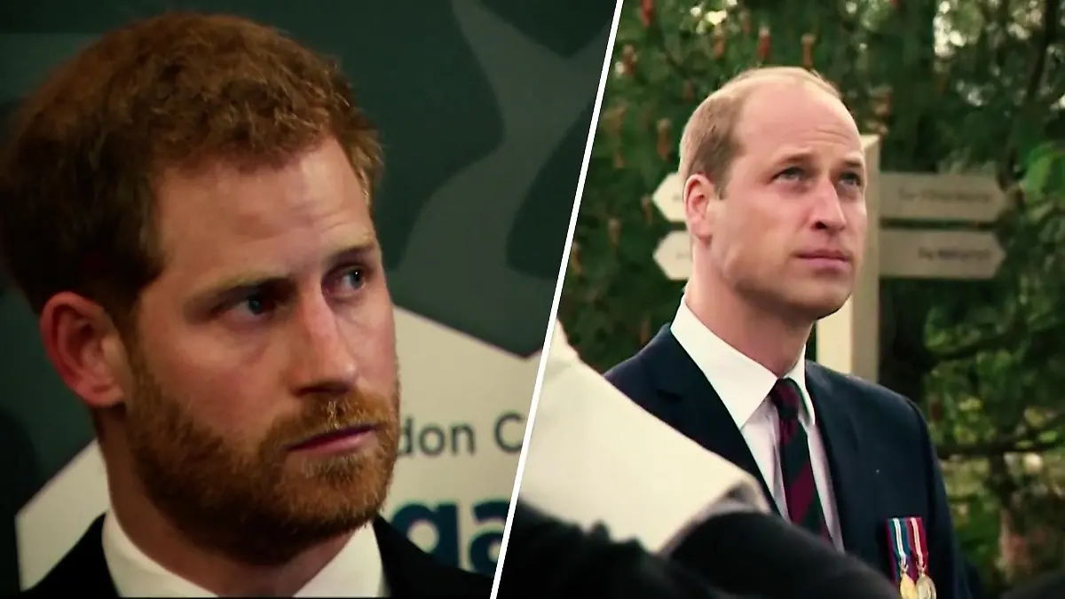 Die Statements von Harry & William im Vergleich Versteckte Botschaften?