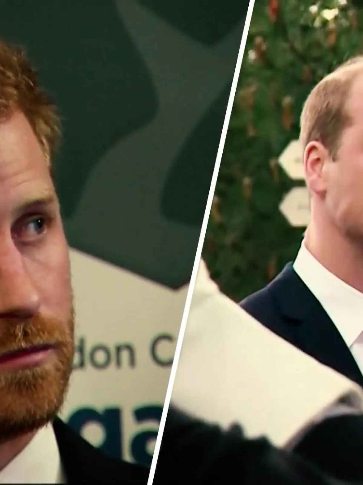 Bild zu: "Die Statements von Harry & William im Vergleich"