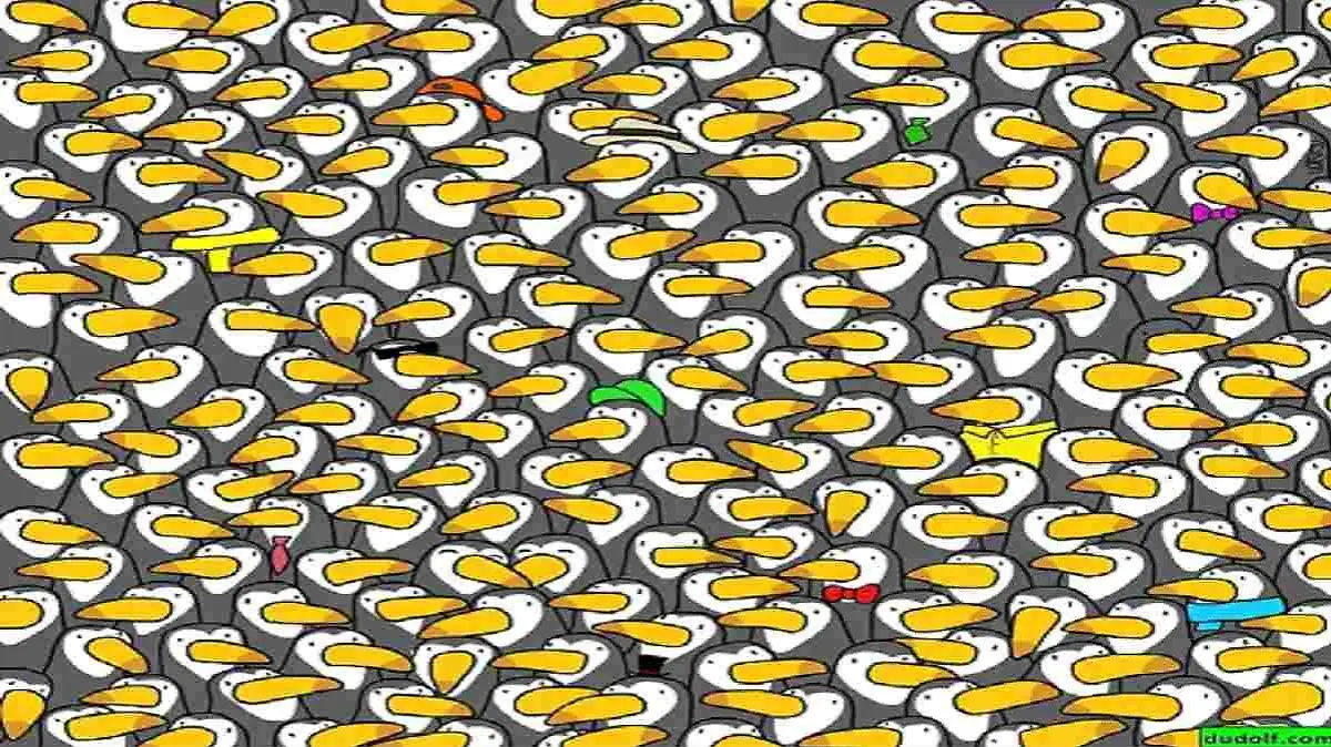 viele Pelikane und ein Pinguin auf einem Bild