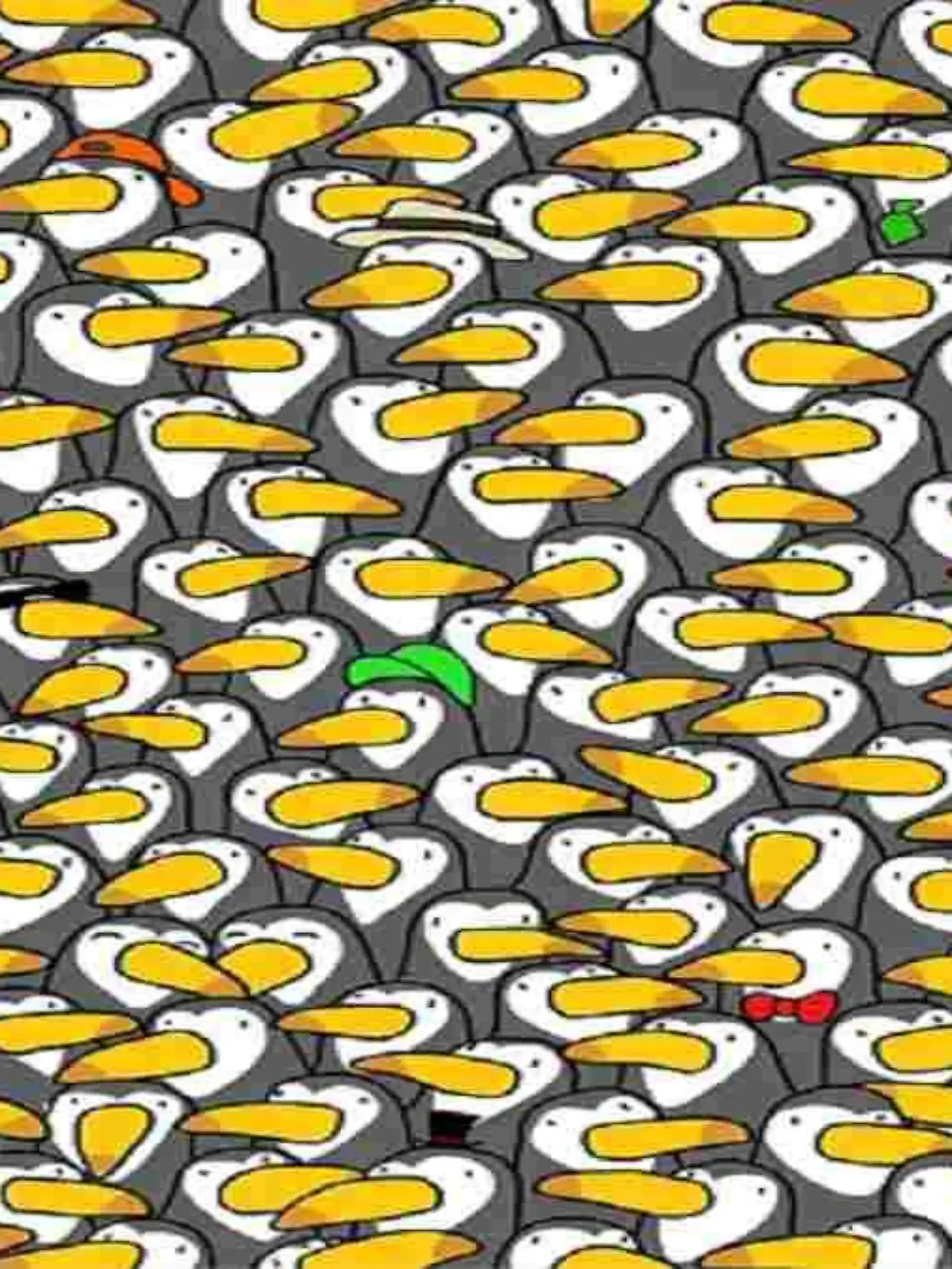 viele Pelikane und ein Pinguin auf einem Bild