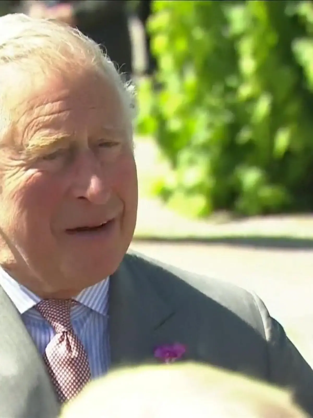 Bild zu: "Klatsche für Prinz Charles: Briten wollen Prinz William"