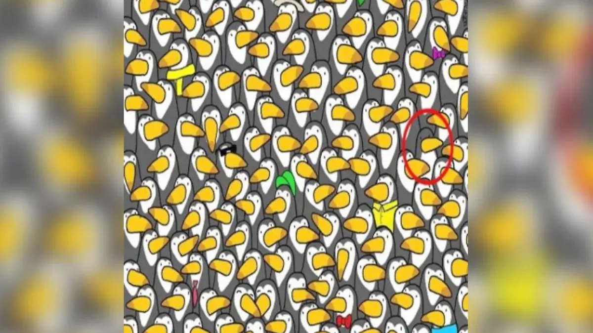 Eingekreister Pinguin