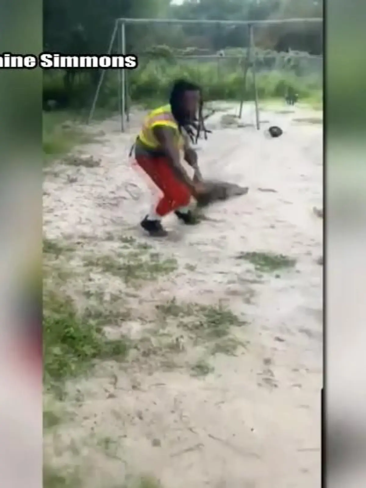 Im US-Bundesstaat Georgia hat es ein Mann auf spektakuläre Art mit einem Krokodil aufgenommen. Die Echse hatte sich auf einen Spielplatz in der Stadt Savanna verwirrt, als ein Passant sie zufällig entdeckte. Die Szene zeigen wir im Video.