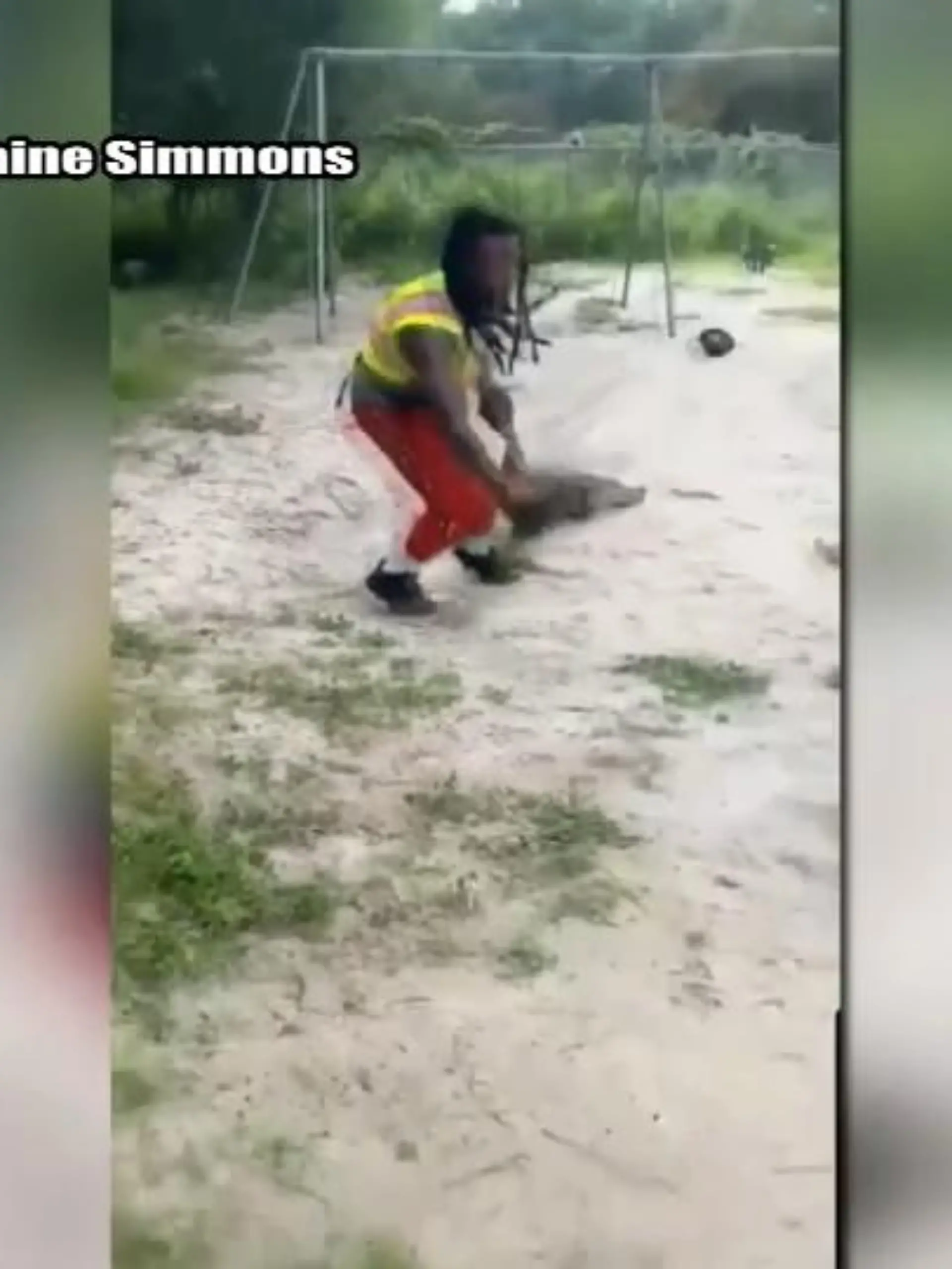 Im US-Bundesstaat Georgia hat es ein Mann auf spektakuläre Art mit einem Krokodil aufgenommen. Die Echse hatte sich auf einen Spielplatz in der Stadt Savanna verwirrt, als ein Passant sie zufällig entdeckte. Die Szene zeigen wir im Video.