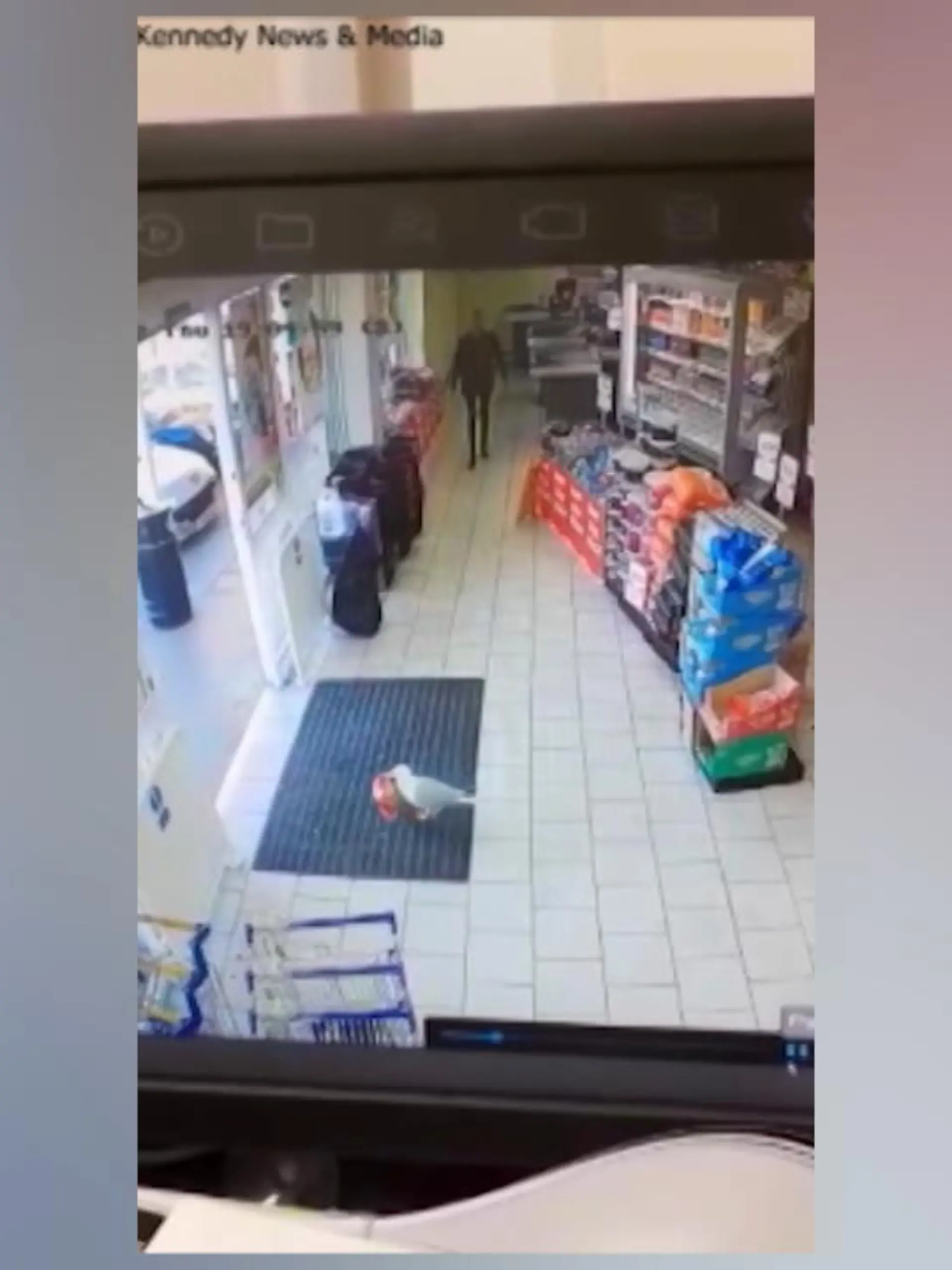 In North Yorkshire (England) ist ein dreister Dieb unterwegs. Diese Möwe klaut gleich 18 Packungen Chips.