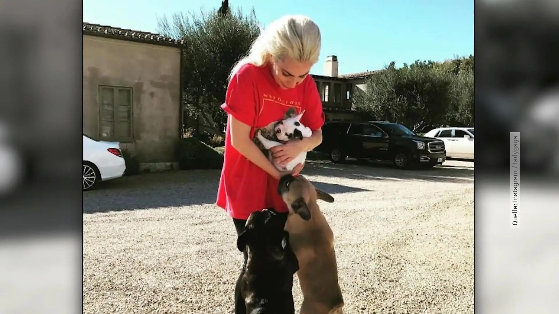 Lady Gagas angeschossener Hundesitter meldet sich aus Klinik Er bekam eine Kugel in die Brust