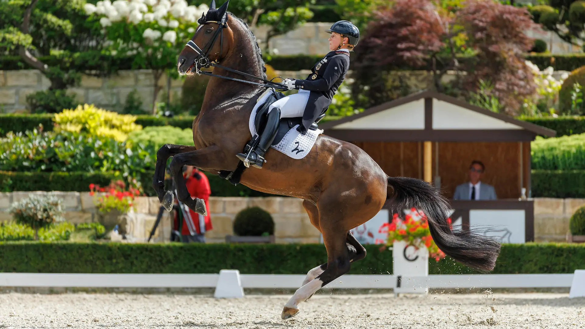 KRONBERG - Schafhof Dressurfestival 2022, KRONBERG - Schafhof Dressurfestival 2022 WERTH Isabell GER, DSP Quantaz Int. Grand Prix de Dressage Preis der IWEST - Tierernährung Dr. Meyer GmbH & Co.KG Qualifikation zur Grand Prix Kür Kronberg, Gestüt Schafhof 15. July 2022 - *** KRONBERG Schafhof Dressage Festival 2022, KRONBERG Schafhof Dressage Festival 2022 WERTH Isabell GER , DSP Quantaz Int Grand Prix de Dressage Preis der IWEST Tierernährung Dr Meyer GmbH Co KG Qualification for Grand Prix Freestyle Kronberg, Gestüt Schafhof 15 July 2022