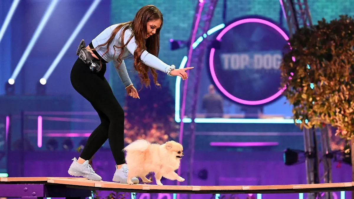 Marina Mair mit ihrem Pomeranian "Baki" in Runde 1.
Die Verwendung des sendungsbezogenen Materials ist nur mit dem Hinweis und Verlinkung auf RTL+ gestattet.