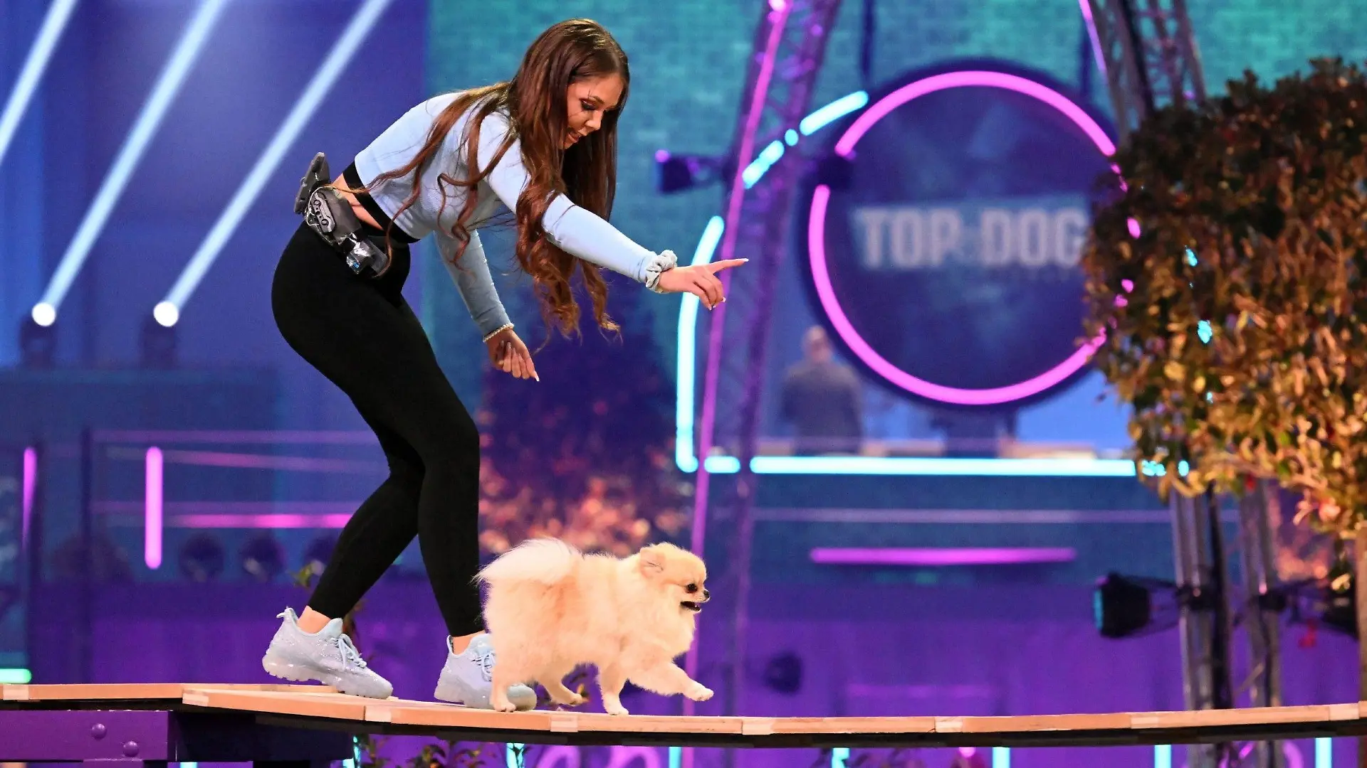 Marina Mair mit ihrem Pomeranian "Baki" in Runde 1.
Die Verwendung des sendungsbezogenen Materials ist nur mit dem Hinweis und Verlinkung auf RTL+ gestattet.
