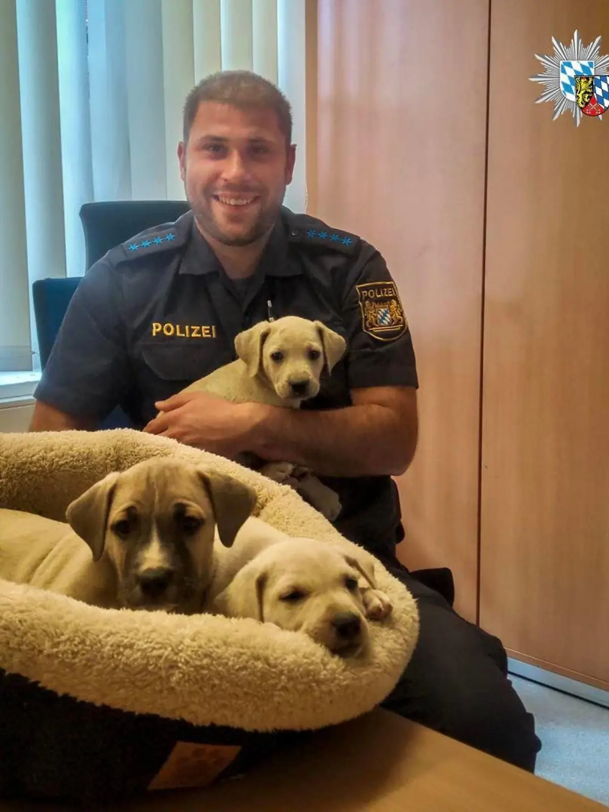 Polizei Oberpfalz / Welpen gefunden