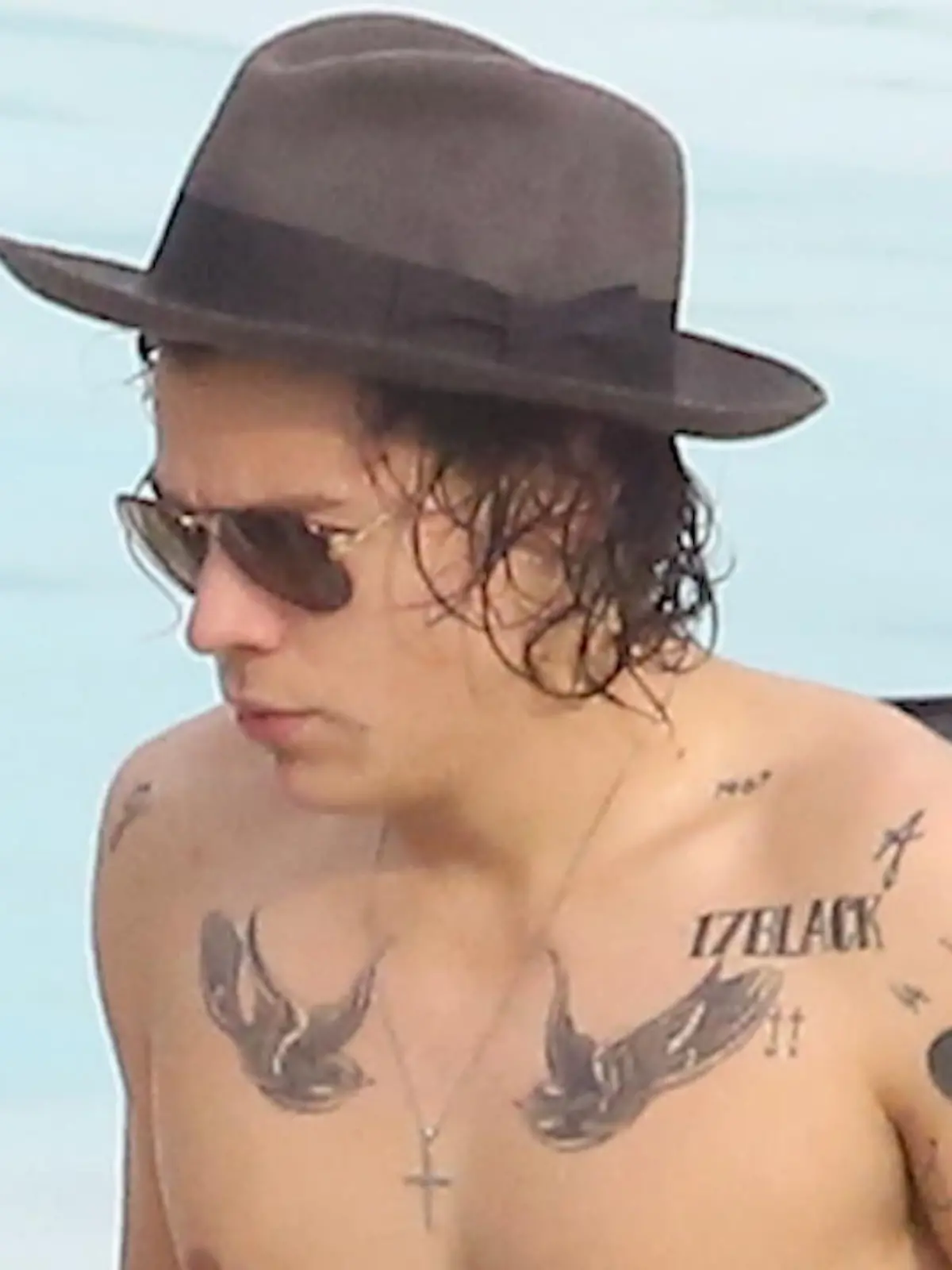 Bild zu: "Wo sind die Tattoos von Harry Styles?"