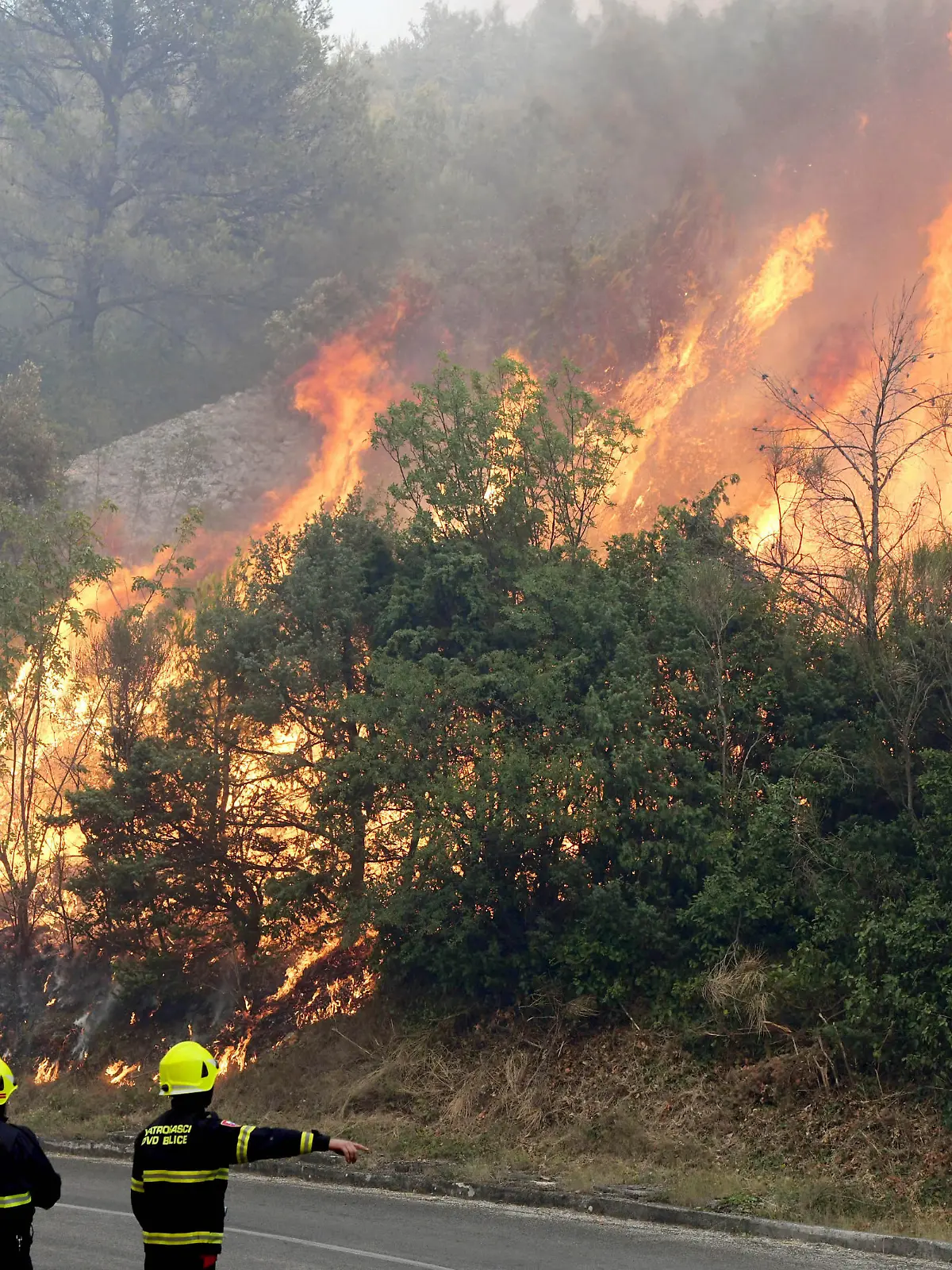 Fire in an open area near the Zaton site in the Vodice hinterland, Croatia on July 13, 2022. About 30 firefighters with a dozen vehicles are on the ground, and two Canadairs joined the ground forces in extinguishing the fire. There are pine forests above, low vegetation, and endangered buildings. Photo: Hrvoje Jelavic/PIXSELL