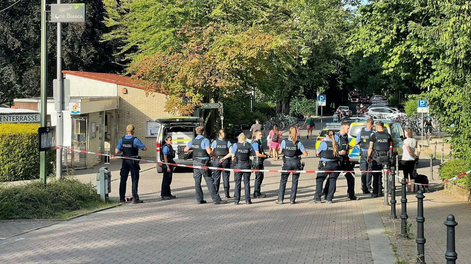 80 Einsatzkräfte auf der Suche nach einer fast zwei Meter langen Würgeschlange