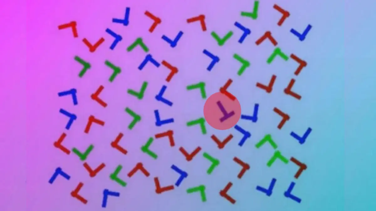Auflösung von Suchbild: Eingekreister Buchstabe