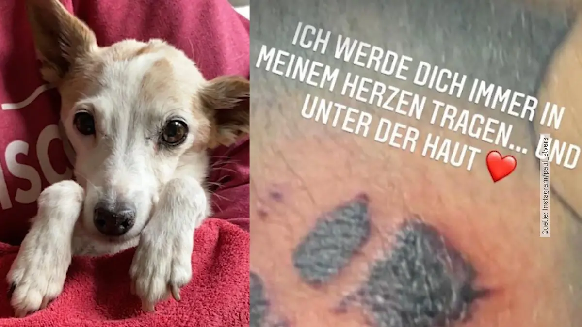 Jenny und Paul Elvers trauern um ihre Hündin Schwerer Verlust