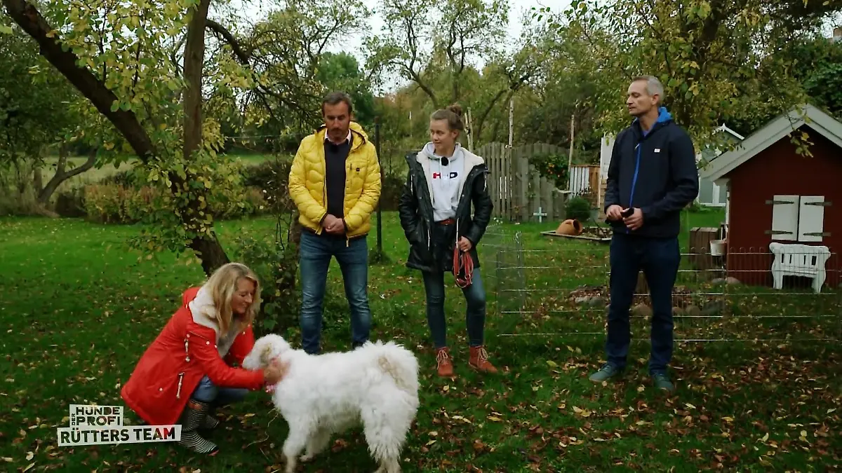Will Tilda ihr Revier immer noch aggressiv verteidigen? Am Ende des Trainings