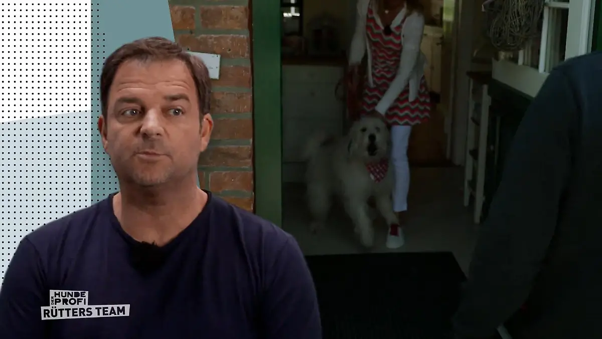 Aufgedrehter Zwergspitz & treuer Hütehund Bailey und Tilda